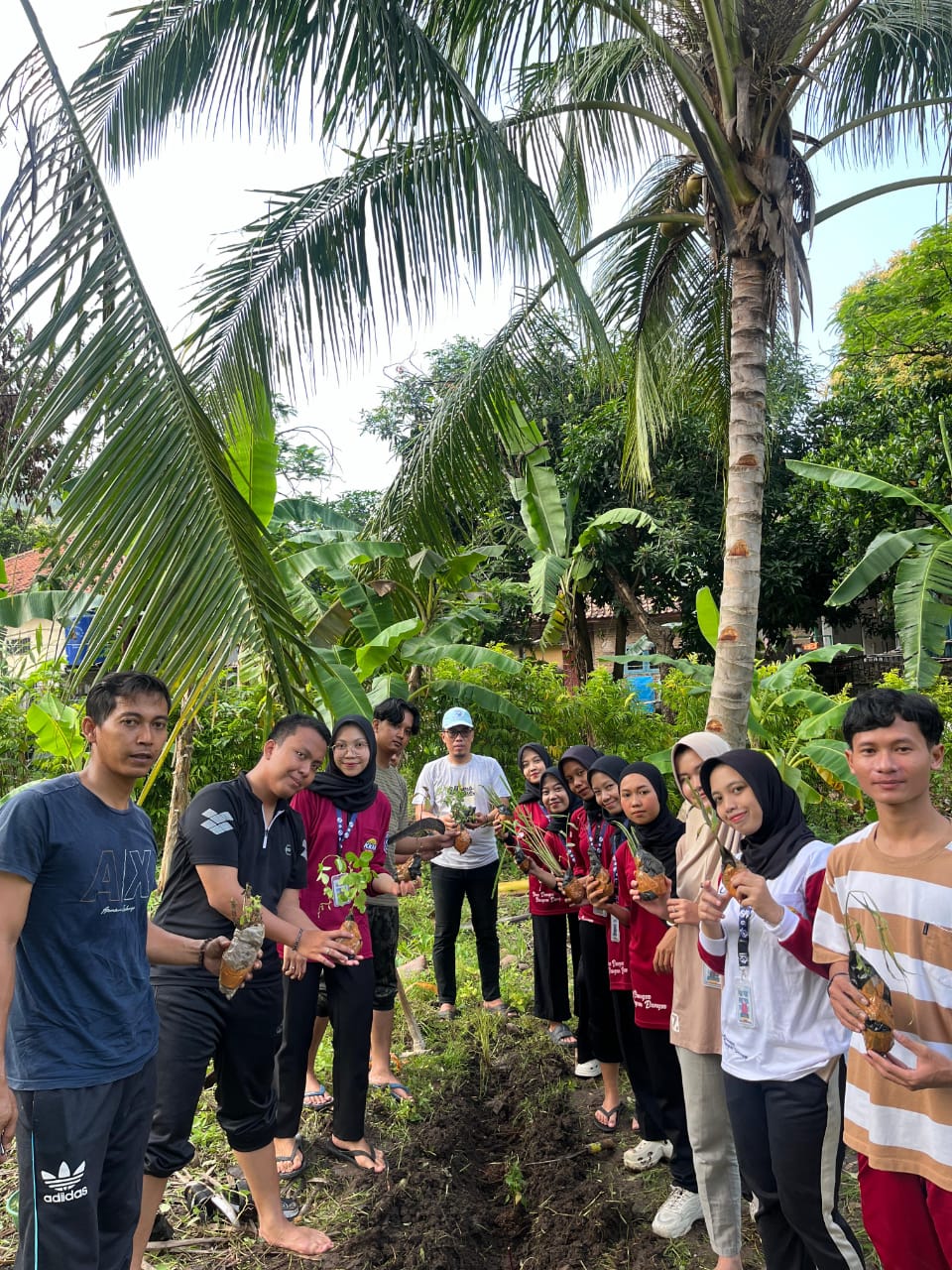 Tanaman Herbal